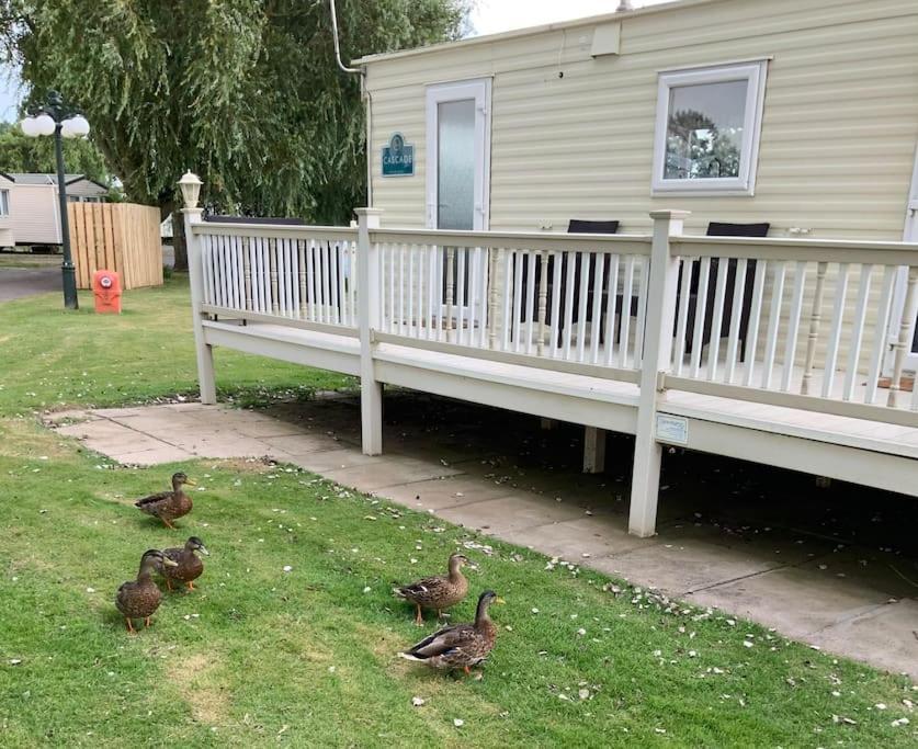 Springs Southview Skegness Appartement Winthorpe  Buitenkant foto